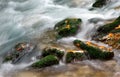 Muntain creek close-up with leafs Royalty Free Stock Photo
