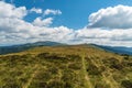 Muntii Valcan mountain in Romania with hills covered by mountain meadows with few rocks and forests