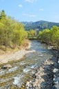 Mur river in styria Austria. Springtime.