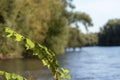 Mura River Landscape And Flow View Royalty Free Stock Photo