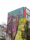 Mural art on blocks in Bacau Romania, 2019