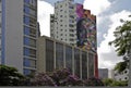 Mural from Brazilian graffiti artist Kobra in Sao Paulo