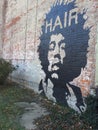 Mural on a Brick Wall Hair