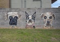 Mural featuring three dogs by Marie Pohlman in Oak Cliff in Dallas, Texas