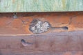 Mural graffiti of the base of a high-rise building with painted brown earth layers and a family of mice in their underground