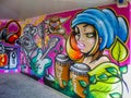 Mural graffiti wall art of a musician girl with conga drum and guitar