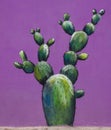 Mural with a green prickly pear on a violet background