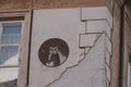 Mural of an owl on the wall of an old historic tenement house in Warsaw, Poland