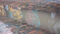 Mural reflected in water