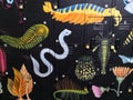 Mural about various marine animals, marine biology, over black background