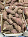 Murasaki Sweet Potato Royalty Free Stock Photo