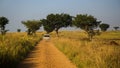 Murchison Falls National Park