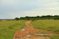 Murchison Falls National Park Safari Track