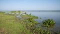 Murchison Falls National Park, Uganda