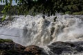 Murchison falls in Uganda Royalty Free Stock Photo