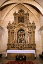 Murcia cathedral Royalty Free Stock Photo