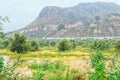 Murcia, Spain, April 20, 2019: Modern train passing through green country landscape on a foggy rainy day