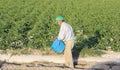 Murcia, Spain, October 2, 2019: Old man peasant working at agricultural plantation in Spain during seasonal works