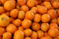 Murcott tangerine, Citrus reticulata