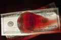 Murder for money. US Dollar bills in blood as symbol of terrorism, death, suffering, loss and violence