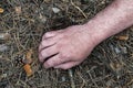 Murder in the woods. The hand of a dead man in the forest needles. Violent attack. Victim of crime