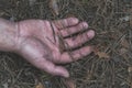 Murder in the woods. The hand of a dead man in the forest needles. Violent attack. Victim of crime