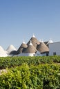 Murge (Apulia, italy) - Trulli and vines Royalty Free Stock Photo