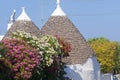 Murge (Puglia, italy) - Trulli and flowers Royalty Free Stock Photo