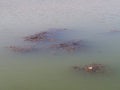 Murky lake water dirty, dirty turbid water caused by drought