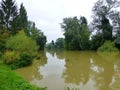 Murky river surrounded by the trees