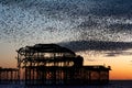 Murmuration over the ruins of Brighton`s West Pier on the south coast of England Royalty Free Stock Photo
