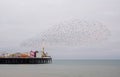 Murmuration of starlings over Palace Pier, Brighton, Sussex, UK. Photographed on a cold evening in December