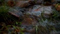 a murmuring stream of clear water flows over the stones,