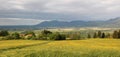 Murnau wetlands in the bavarian foothills, thundery mood