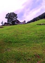 Murren in the swiss Alps Royalty Free Stock Photo