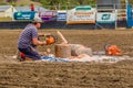 Murrurundi, NSW, Australia, 2018, February 24: Demonstration of Chainsaw Art