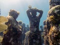 MUSA - The Museum of Underwater Art in Isla Mujeres near Cancun