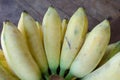 Musa sapientum banana