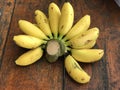 Musa sapientum or Plantain banana.