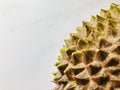 Musang King Durian shell with pointed thorn, Select focus, close up.
