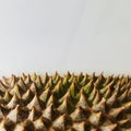Musang King Durian shell with pointed thorns, white marble background. Select focus.