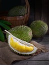 Musang king durian on wooden mood background Royalty Free Stock Photo