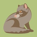 Musang vector illustration flat style black profile Royalty Free Stock Photo