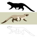 Musang vector illustration flat style black silhouette Royalty Free Stock Photo