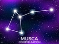 Musca constellation. Starry night sky. Cluster of stars and galaxies. Deep space. Vector