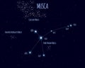 Musca constellation, vector illustration with basic stars Royalty Free Stock Photo