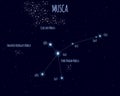 Musca constellation, vector illustration with basic stars