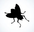 Fly. Vector drawing Royalty Free Stock Photo