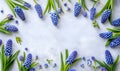 Muscari flowers frame on light background with copyspace for your text