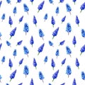 Muscari flowers. Watercolor blue flowers on a white background. .